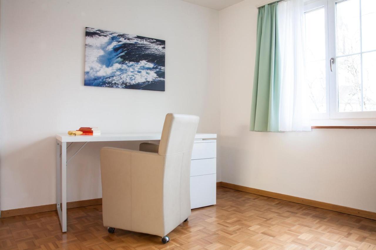 שאפהאוזן City Stay Furnished Apartments - Fasenstaubstrasse מראה חיצוני תמונה